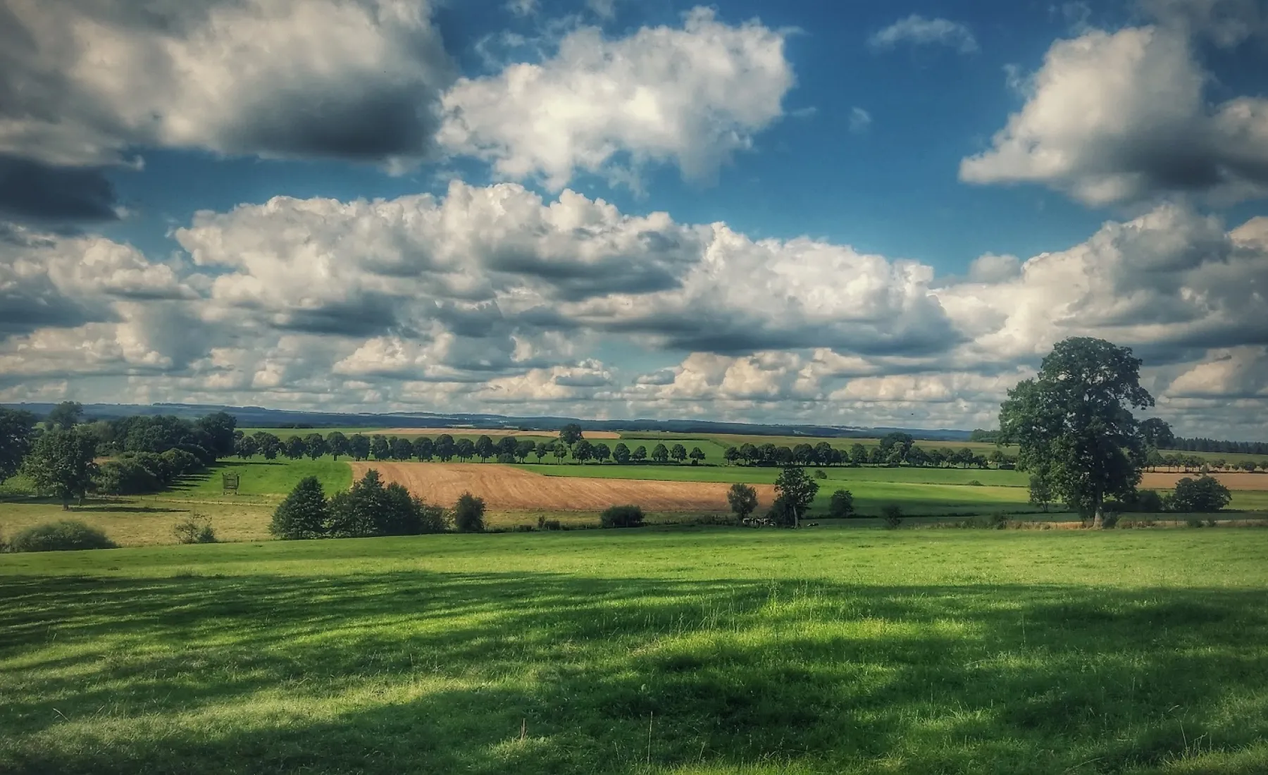 Blick auf die Felder von Beckerich mit Wolken