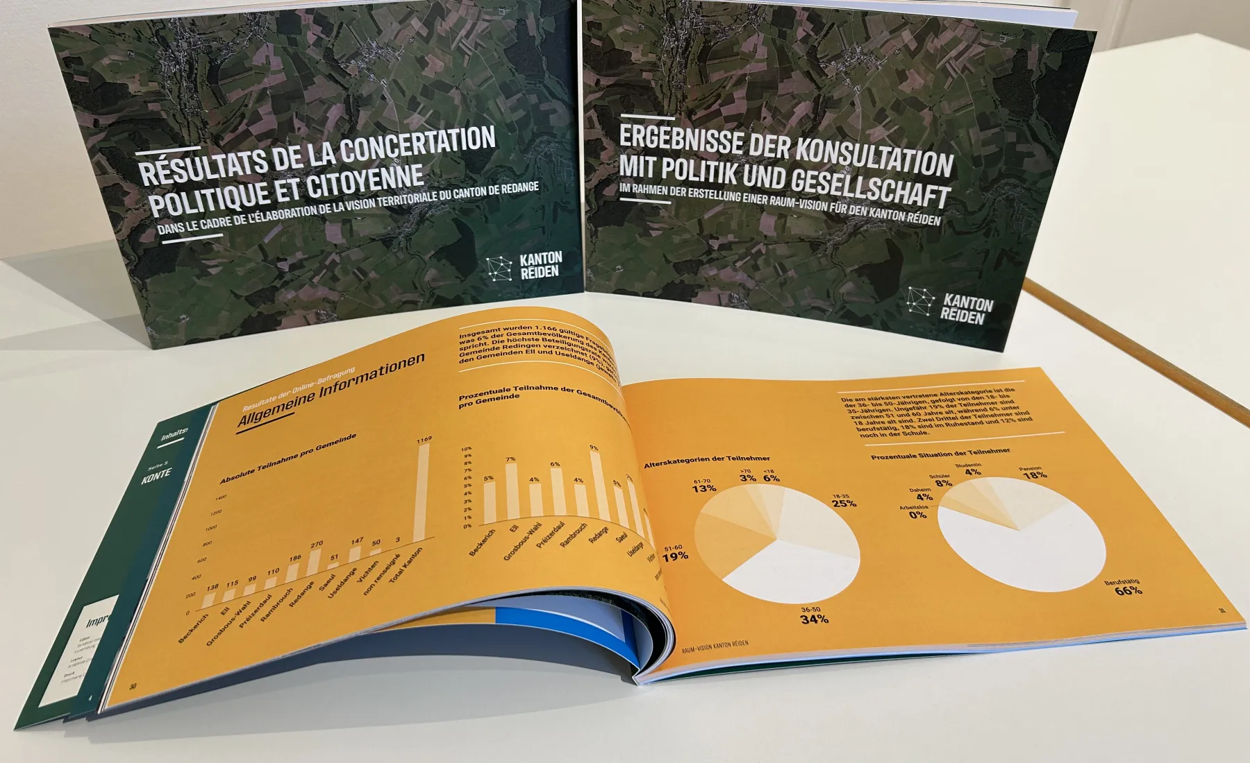 Broschüre zur territorialen Vision